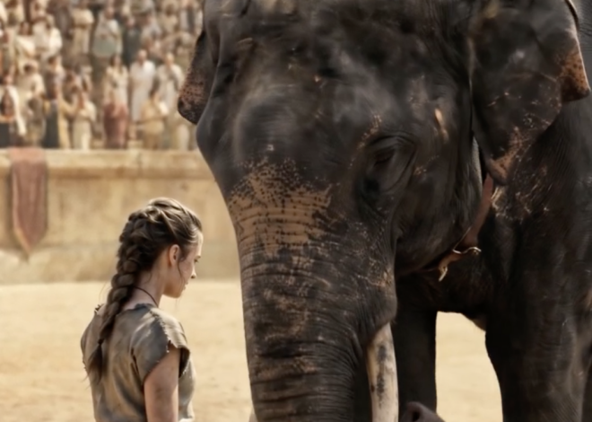 What the Elephant Remembered