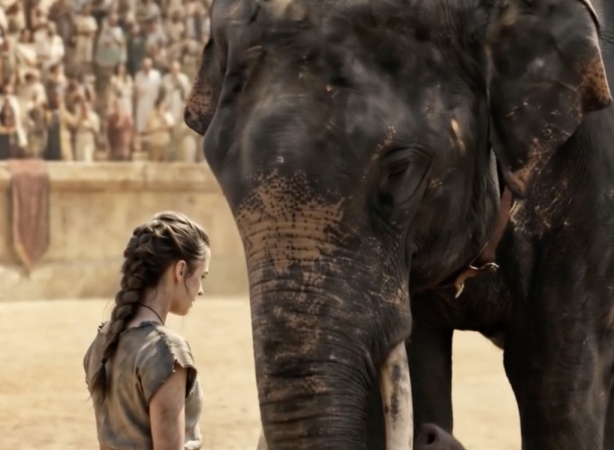 What the Elephant Remembered