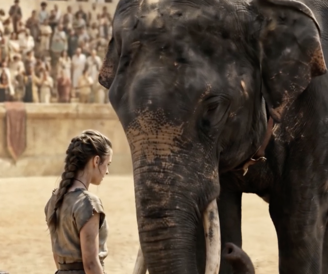 What the Elephant Remembered