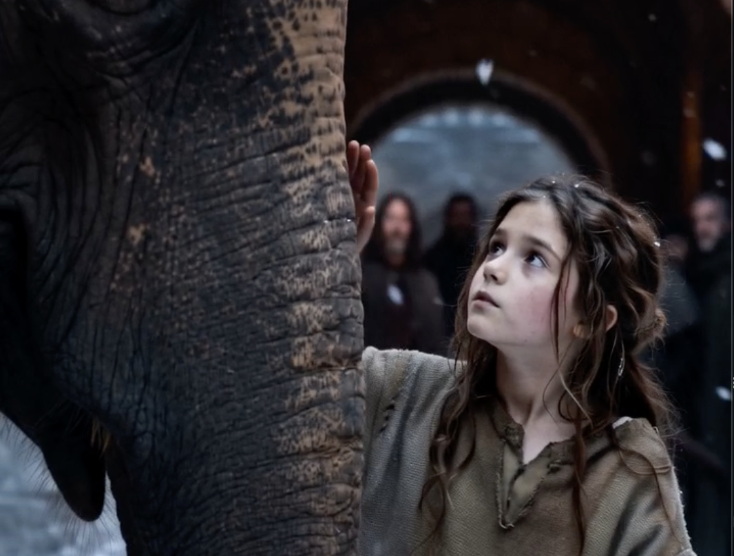 What the Elephant Carried Home